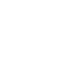 Video Volume